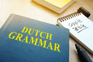 Verdiep je in de Nederlandse grammatica