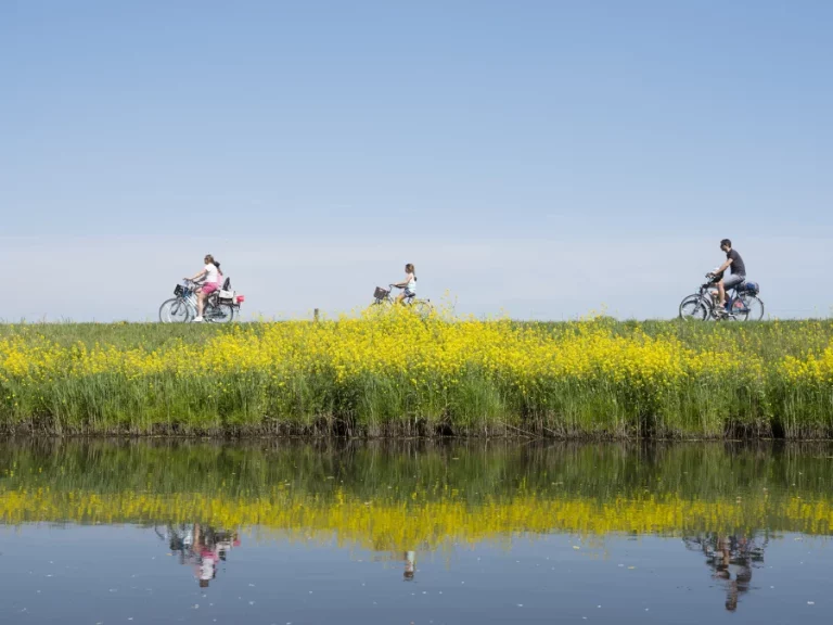 Natuurbeleving in de Biesbosch: wandelen, fietsen en scooteren